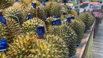 Ralph Jennings - China’s summer durian market heats up as Thailand, Vietnam vie for top spot - scmp.com - China - Usa - Thailand - Malaysia - state Oregon - Vietnam