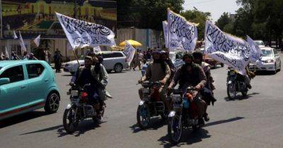 Taliban morality police dismiss over 280 men without beards from security forces - asiaone.com - Afghanistan - city Kabul