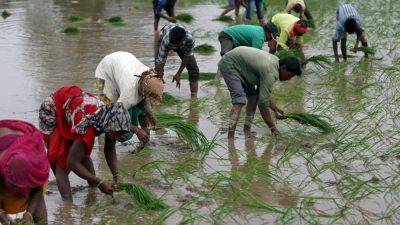 Retno Marsudi - Genevieve DonnellonMay - Australia and New Zealand key to ensuring Asean’s food security - scmp.com - Japan - New Zealand - China - Indonesia - India - South Korea - Ukraine - Australia - Laos - city Vientiane