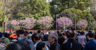 ‘Twilight Love’: Shanghai’s Lonely and Retired Are Looking for Love