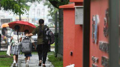 Jean Iau - Singapore’s education culture has to change alongside gifted programme revamp: experts - scmp.com - Singapore - city Singapore