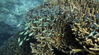 Great Barrier Reef waters were hottest in 400 years over the past decade, study finds - apnews.com - state Indiana - Washington - Australia - city Melbourne