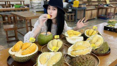 The Star - Chinese tourists gobble up durians in Malaysia’s Melaka as Fan Bingbing ignites frenzy - scmp.com - China - Malaysia