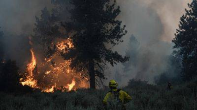 CLIMATE GLIMPSE: Wildfires plague U.S. West and Brazil, Yagi rampages in Vietnam - apnews.com - Usa - state California - Los Angeles - state Oregon - Vietnam - Laos - Brazil - Nigeria - state Nevada - state Idaho - state Louisiana