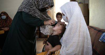 Pakistan Seemed Close to Beating Polio. Now It’s Spreading Quickly.