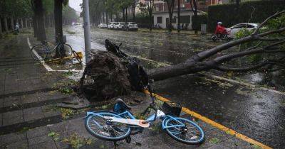 Shanghai Is Hit by Strongest Typhoon in Decades and Comes to a Standstill - nytimes.com - China - province Jiangsu - city Shanghai - city Nanjing