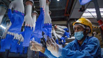 Bloomberg - Southeast Asian - US tariffs on China to lend a hand to Malaysia’s glove makers - scmp.com - China - Usa - Thailand - Malaysia