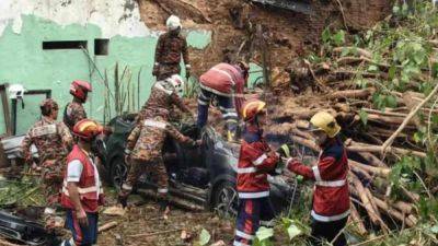 Father, daughter from China die after tree falls on car in Malaysia