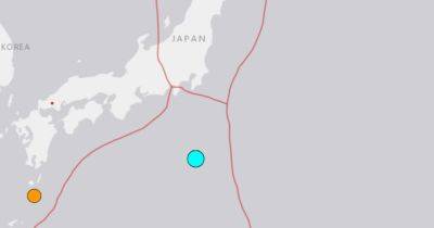 Japan's remote Izu islands hit by small tsunami after magnitude 5.9 earthquake - asiaone.com - Japan - county Pacific - city Tokyo