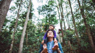 Monica Pitrelli - 'Golden Week’ bookings show Chinese travel preferences are evolving - cnbc.com - Japan - New Zealand - France - China - Usa - Thailand - Malaysia - Hong Kong - Singapore - Britain - South Korea - Czech Republic - Netherlands - Finland - Uae - Sri Lanka - Australia - Vietnam - Spain - Hungary - Norway - Chile - Croatia - Belgium