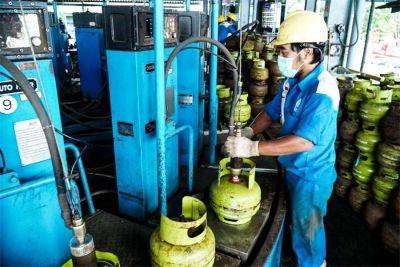 Alternative energy sources need developing to reduce Indonesia’s LPG imports