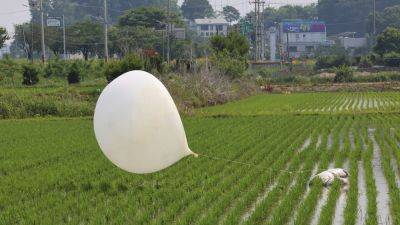 North Korea has again launched suspected trash-carrying balloons across the border, South Korea says