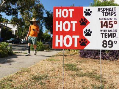 El Niño - Samantha Burgess - Record summer temperatures set world on course for hottest year ever - aljazeera.com - China - Taiwan - Usa - Philippines - Pakistan - Eu - Sudan - state Alaska