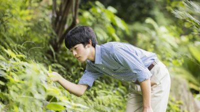 MARI YAMAGUCHI - Prince Hisahito becomes the first royal male in Japan to reach adulthood in 4 decades. - apnews.com - Japan - city Tokyo