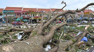 Agence FrancePresse - Typhoon Yagi’s Vietnam death toll rises to 14, including family of 4 killed in landslide - scmp.com - China - Philippines - Vietnam